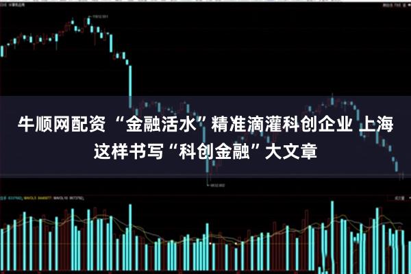牛顺网配资 “金融活水”精准滴灌科创企业 上海这样书写“科创金融”大文章