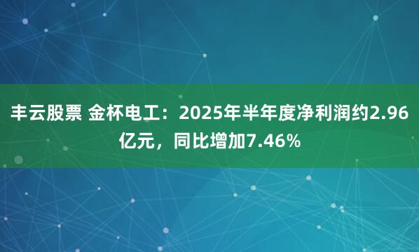 丰云股票 金杯电工：2025年半年度净利润约2.96亿元，同比增加7.46%