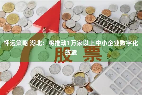 怀远策略 湖北：将推动1万家以上中小企业数字化改造